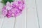 Bouquet garden cornflowersÂ  on a white wooden background